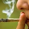 Police are AFRAID to stop and search suspected cannabis users, officers say