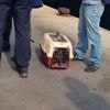 « Une situation un peu hors de contrôle » : les chats errants envahissent cette île bretonne