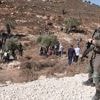 Un homme battu à mort en Cisjordanie par des colons israéliens