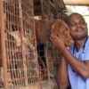 Heartbreak as cash-strapped Nigerians abandon their pets