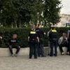 Erneuter Polizeieinsatz am Berliner Humboldt Forum: Verletzter bei Schlägerei zwischen Hütchenspielern und Passanten
