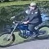 Urgent hunt for e-bike rider after geese are killed and injured in 'distressing' hit-and-run crash