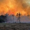 „Schwachsinn der spontanen Selbstentzündung“: Erhöht die Hitze die Waldbrandgefahr, Herr Kachelmann?