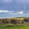 Why a town surrounded by wind turbines has been forced to bring in diesel generators to keep the lights on