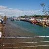 Mystery as British holidaymaker is found dead in an Italian B&B with his companion 'unaccounted for'