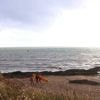 Un bateau chavire au large du littoral de la Loire-Atlantique, au moins une victime secourue