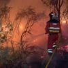 Plus d'un millier de personnes ont été évacuées à cause des incendies dans le nord-ouest de l'Espagne