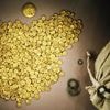 In Museum eingebrochen: Ringen um Geständnisse in Prozess um gestohlenen Goldschatz