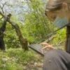 Wild chimpanzees filmed using forest 'first aid'