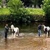 Travellers start the party early: Gypsies race wagons down tiny village streets, wash their horses in the river and make last-minute preparations ahead of Appleby Fair