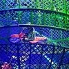 Horror at the circus as daredevil is seriously injured again in Globe of Death stunt weeks after previous accident