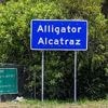 Verstoß gegen Umweltschutzgesetz: Gericht ordnet Rückbau von "Alligator Alcatraz" an