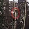 Shocking video captures 'Bigfoot' sprinting through the woods in broad daylight