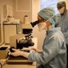Sperma kankergevoelige donor gebruikt om 67 Europese kinderen te verwekken