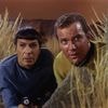 Kijk nog eens een aflevering Star Trek, Stephen Miller