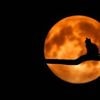 QUIZ. Êtes-vous incollable sur la Lune ?