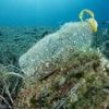 Conférence des Nations unies sur l'océan : trois chiffres sur la pollution plastique en mer, contre laquelle 95 pays veulent un accord "ambitieux"