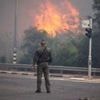 Chaos on roads as residents flee rampant Israel wildfires