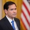 Kurswechsel in der Außenpolitik: Rubio untersagt US-Diplomaten Kritik an Wahlen im Ausland
