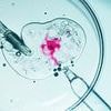 World's 'oldest baby' born from embryo frozen in 1994