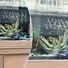 Exclusive London restaurant beloved by A-listers including Tom Cruise and Prince Harry leaves people horrified over 'inhumane' window display