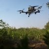 Hoe haal je honderden Russische drones per nacht neer? Een goedkope innovatie biedt een oplossing voor Oekraïne