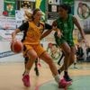 Basket-ball. N3F : JS Coulaines proche de retrouver Le Mans Saint-Pavin