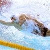 Mondiaux de natation : le relais français 4x100 m nage libre mixte médaillé de bronze, deuxième podium de la journée pour Maxime Grousset