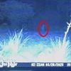 Creepy trail cam video shows weird white 'skinwalker creature' lurking near home