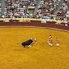 Renowned Portuguese bullfighter, 22, is killed by huge 1,500lbs bull in front of horrified crowd - and a fan ALSO dies while watching