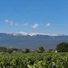 Parken in Franse regio Vaucluse deels dicht om brandgevaar, Mont Ventoux open