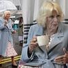 Queen Camilla braves the rain to visit a Maggie's cancer care centre in Scotland as she praises staff's 'invaluable' work