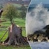 Shocking revelations from people who narrowly survived near-fatal encounters
