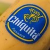Streik der Erntehelfer: US-Bananenkonzern Chiquita entlässt alle Mitarbeiter in Panama