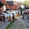 Every year hundreds of travellers tie up their horses outside my house to sell them - I can't move my car but I LOVE it!