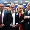 Söder will an Kurs festhalten: Druck für AfD-Verbotsverfahren wächst - doch Scholz warnt vor "Schnellschuss"