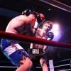 Boxe. Coup double à domicile pour les frères Hugo et Enzo Grau aux Sables-d’Olonne