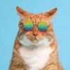 Que faut-il faire pour être une personne « cool » ? Ce que dit la science