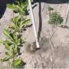 Solarbetriebener Roboter bekämpft Unkraut mit KI und Hacke