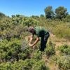 "Quand c'est comme ça, c'est que l'état de sécheresse est avancé" : face au risque de feux de forêts, le rituel de ces agents de l'ONF dans la garrigue