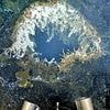 Scientists warn massive underwater volcano is 'ready' to ERUPT... and will release millions of tons of lava
