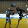 Le MMA rassemble toujours plus de monde à Ploërmel