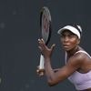 Venus Williams krijgt op 45-jarige leeftijd uitnodiging voor enkelspel US Open