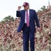 „Unser Eid gilt der Verfassung, nicht dem Präsidenten“: Ehemaliger US-General Hodges fordert Protest des Militärs gegen Trump