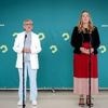 Regierung und Linke eingeladen: Grüne dringen auf schnelles Handeln beim AfD-Verbot
