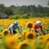 Live Tour | Peloton valt eindelijk stil, favoriet Van der Poel telt af naar listige finale
