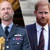 Prins William populairder in de VS dan prins Harry, maar Kate doet het plots minder goed