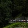 Tour de France femmes 2025. La Gacilly - Angers : à quelle heure voir le peloton et la caravane ?