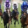 CALUM McCLURKIN: Fantastic four that can make Goodwood Glorious for punters