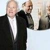 Sopranos star Jerry Adler dies at 96: Actor worked with Woody Allen and appeared on The Good Wife